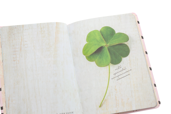 Бумажная книга «Wish book. Цей щоденник виконує бажання 14» - фото №1