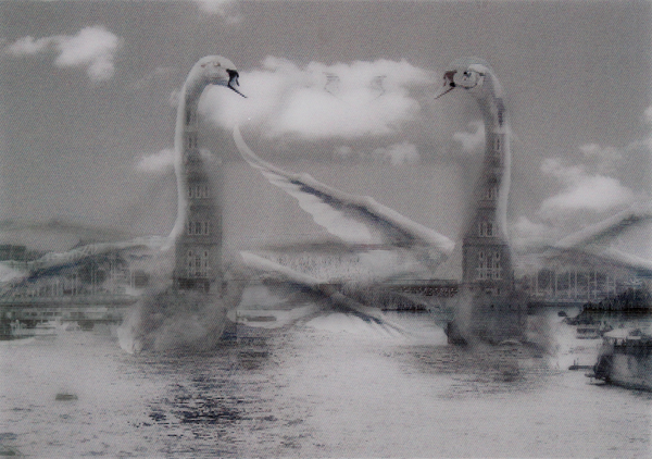  «Стерео открытка Kartenvertrieb Swans / Tower Bridge», бренда LM Kartenvertrieb - фото №1