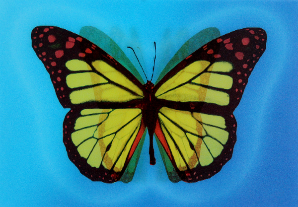  «Стерео листівка Kartenvertrieb Butterfly», бренду LM Kartenvertrieb - фото №1