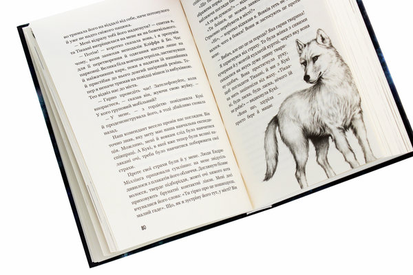 Бумажная книга «Діти лісу. Книга 2. Небезпечна дружба», автор Катя Брандис - фото №1