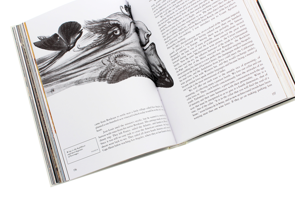 Бумажная книга «Dalí. The Wines of Gala», автор Ханс Вернер Хольцварт - фото №1
