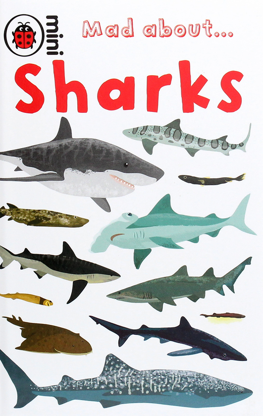 Паперова книга «Mad About Sharks», автор Дебора Джейн Мюррелл - фото №1