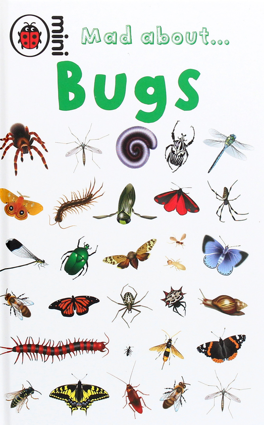 Бумажная книга «Mad About Bugs», автор Дебора Джейн Мюррелл - фото №1