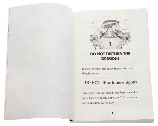 Паперова книга «Do Not Disturb the Dragons. Sir Grace #1», автор Мішель Робінсон - фото №1