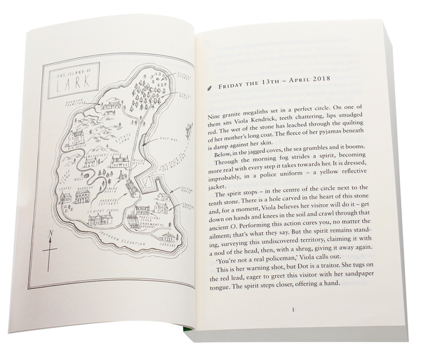 Паперова книга «Impossible Causes», автор Джулі Мейхью - фото №1
