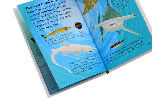Паперова книга «Mad About Sharks», автор Дебора Джейн Мюррелл - фото №1