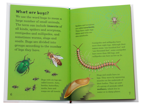 Бумажная книга «Mad About Bugs», автор Дебора Джейн Мюррелл - фото №1