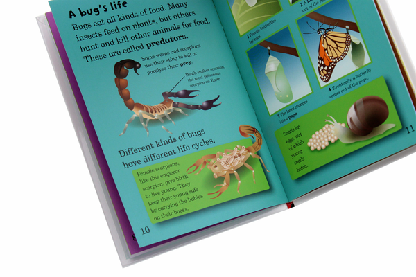 Бумажная книга «Mad About Bugs», автор Дебора Джейн Мюррелл - фото №1