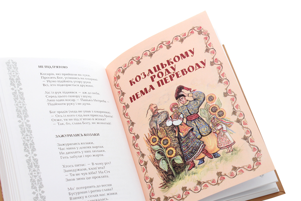 Бумажная книга «Козацькі жарти», автор Петр Ребро - фото №1
