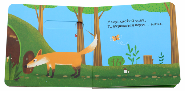 Бумажная книга «У лісі. Книжка з подвійним секретом», авторов Василий Федиенко, Сергей Цушко - фото №1