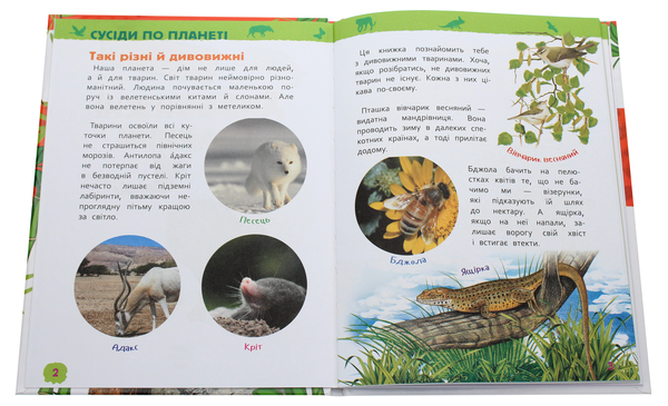 Паперова книга «Дивовижні тварини. Моя перша енциклопедія» - фото №1