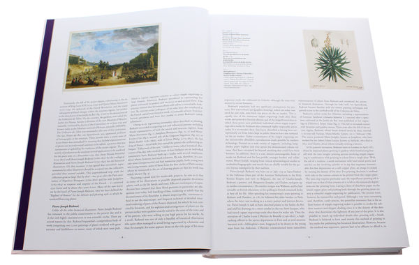 Бумажная книга «Redouté. The Book of Flowers», автор Х. Вальтер Лак - фото №1