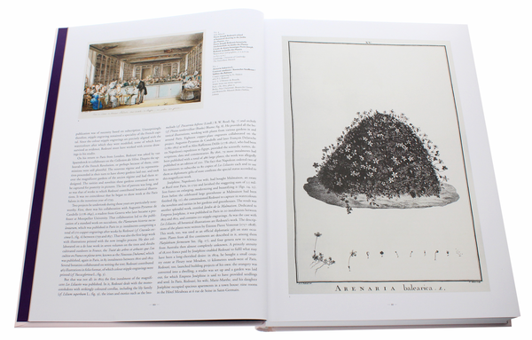 Бумажная книга «Redouté. The Book of Flowers», автор Х. Вальтер Лак - фото №1