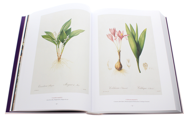 Бумажная книга «Redouté. The Book of Flowers», автор Х. Вальтер Лак - фото №1