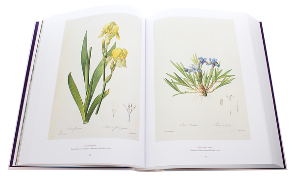 Бумажная книга «Redouté. The Book of Flowers», автор Х. Вальтер Лак - фото №1