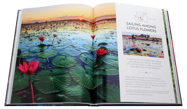 Бумажная книга «Encounters with Nature. 53 of the World's Must-See Destinations», автор Джанни Морелли - фото №1