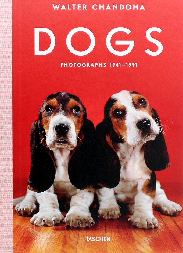 Бумажная книга «Walter Chandoha. Dogs. Photographs 1941–1991», авторов Реуэл Голден, Уолтер Чандоха - фото №1
