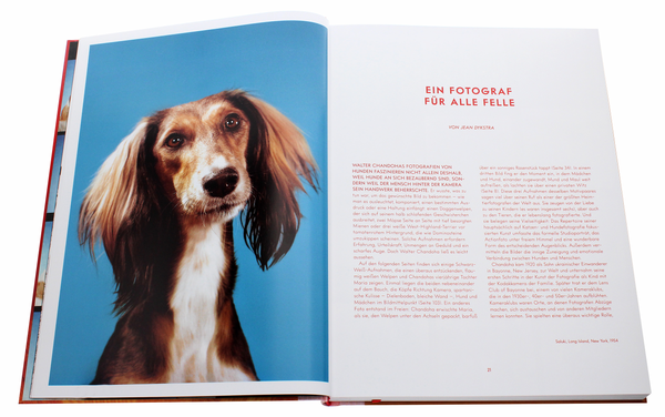 Бумажная книга «Walter Chandoha. Dogs. Photographs 1941–1991», авторов Реуэл Голден, Уолтер Чандоха - фото №1