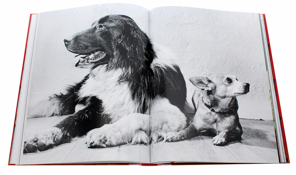 Бумажная книга «Walter Chandoha. Dogs. Photographs 1941–1991», авторов Реуэл Голден, Уолтер Чандоха - фото №1