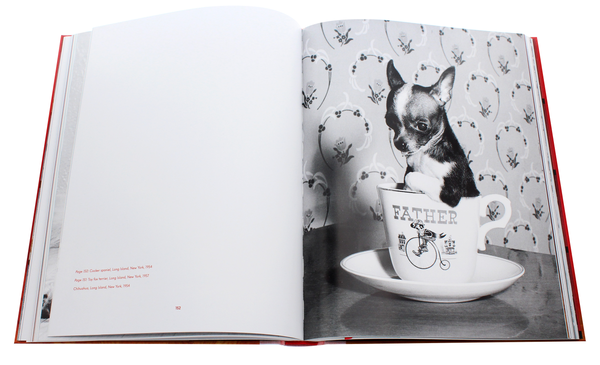 Бумажная книга «Walter Chandoha. Dogs. Photographs 1941–1991», авторов Реуэл Голден, Уолтер Чандоха - фото №1