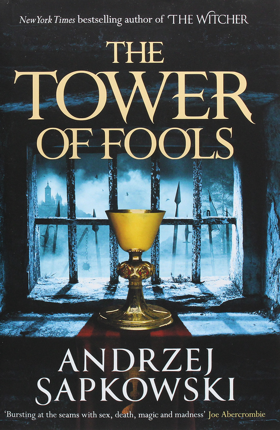 Бумажная книга «The Tower of Fools», автор Анджей Сапковский - фото №1