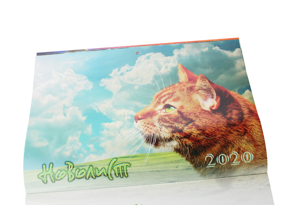 Бумажная книга «Календар настінний на 2020 рік. Світ Котів-вояків» - фото №1