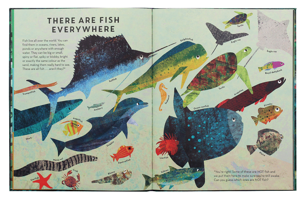 Бумажная книга «There are Fish Everywhere», автор Кэти Хаворт - фото №1