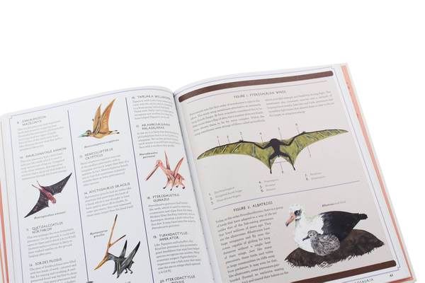 Паперова книга «Prehistoric Creatures of the Order», автор Джулс Ховард - фото №1