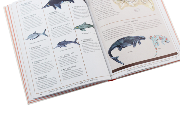 Паперова книга «Prehistoric Creatures of the Order», автор Джулс Ховард - фото №1