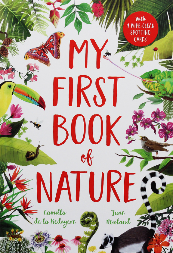Паперова книга «My First Book of Nature», автор Камілла де ла Бедуайер - фото №1