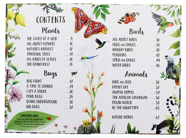Паперова книга «My First Book of Nature», автор Камілла де ла Бедуайер - фото №1