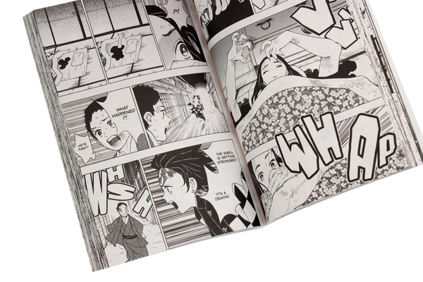 Бумажная книга «Demon Slayer. Kimetsu no Yaiba. Volume 2», автор Коёхару Готогэ - фото №1