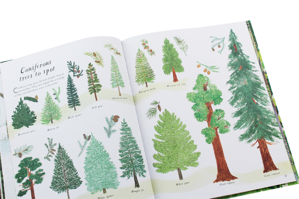 Бумажная книга «Into The Forest», автор Кристиан Дорион - фото №1