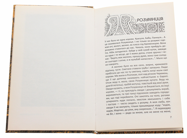 Паперова книга «Бурштинове диво», автор Марія Влад - фото №1