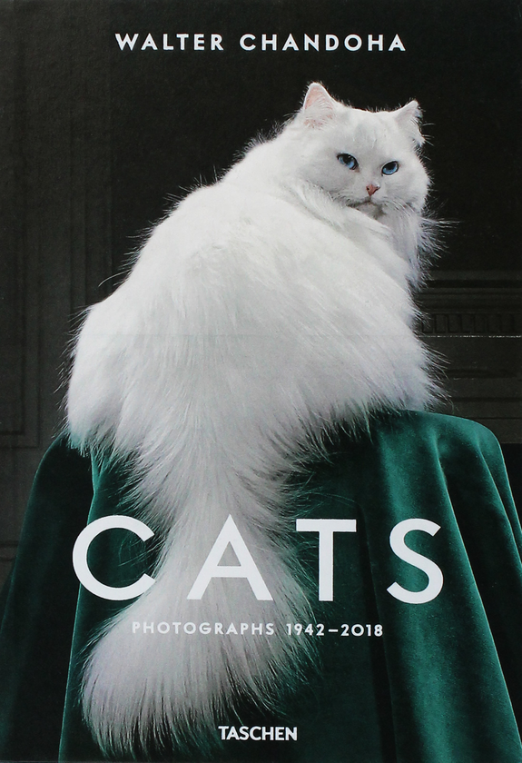 Паперова книга «Walter Chandoha. Cats. Photographs 1942–2018», авторів Волтер Чандоха, Сюзан Майклз - фото №1