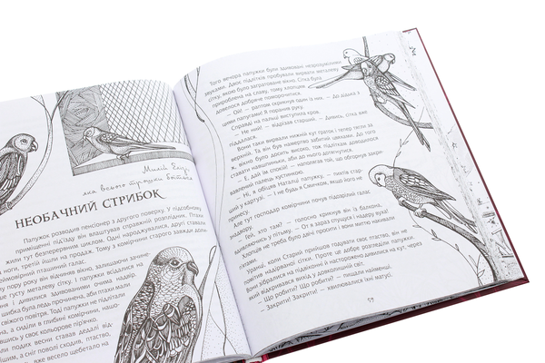 Паперова книга «Казки для Елізи. Різдвяний песик», автор Олександр Гаврош - фото №1