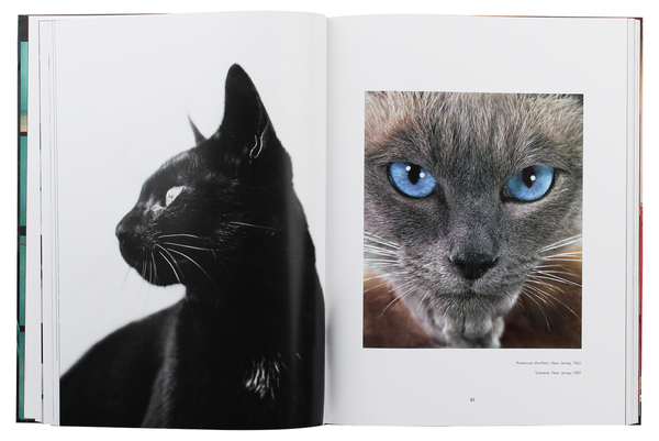 Паперова книга «Walter Chandoha. Cats. Photographs 1942–2018», авторів Волтер Чандоха, Сюзан Майклз - фото №1