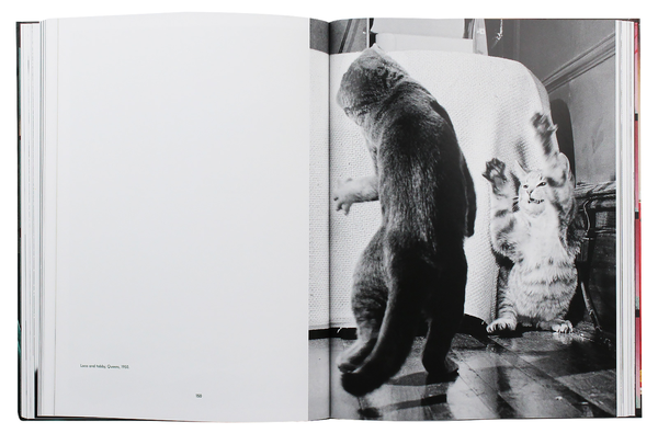 Паперова книга «Walter Chandoha. Cats. Photographs 1942–2018», авторів Волтер Чандоха, Сюзан Майклз - фото №1