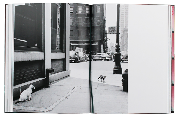 Паперова книга «Walter Chandoha. Cats. Photographs 1942–2018», авторів Волтер Чандоха, Сюзан Майклз - фото №1