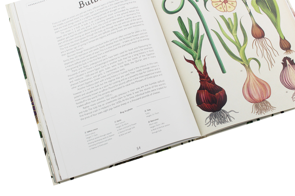 Паперова книга «Botanicum», автор Кесі Вілліс - фото №1