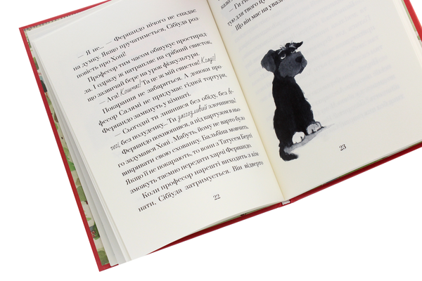 Бумажная книга «Хопі. Кіто-воїн», автор Жозеп Льюис Бадаль - фото №1