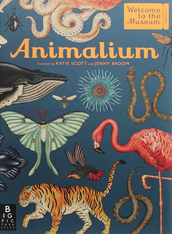 Бумажная книга «Animalium», автор Дженни Брум - фото №1