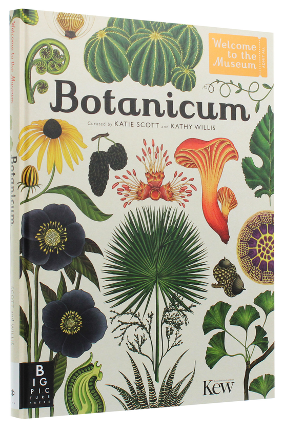 Паперова книга «Botanicum», автор Кесі Вілліс - фото №1