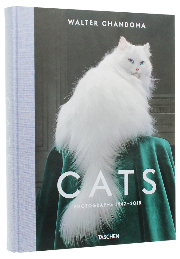 Паперова книга «Walter Chandoha. Cats. Photographs 1942–2018», авторів Волтер Чандоха, Сюзан Майклз - фото №1