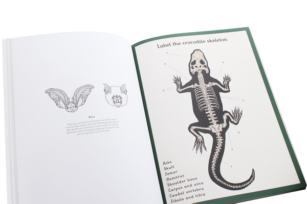 Бумажная книга «Animalium Activity Book» - фото №1