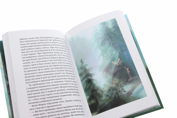Бумажная книга «Файні товсті дівки, йо!», автор Татьяна Стрижевская - фото №1