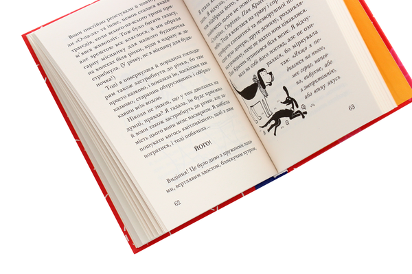 Паперова книга «Викрадення! Гаряче літо Ракети на чотирьох лапах. Книга 7», автор Джеремі Стронг - фото №1