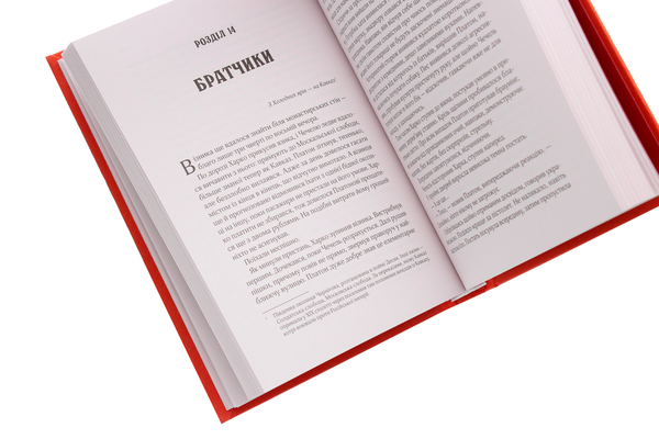Паперова книга «Вигнанець і грішниця», автор Андрій Кокотюха - фото №1