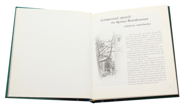 Паперова книга «Вірші з вулиці Виговського», автор Віктор Неборак - фото №1