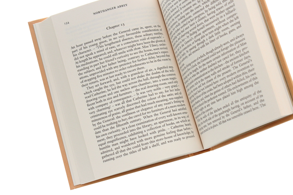 Бумажная книга «Northanger Abbey», автор Джейн Остин - фото №1